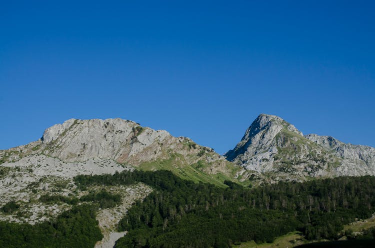 Forest And Rocky Hills Behind