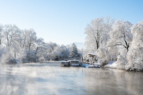 冬季, 冷, 晴朗的天空 的 免費圖庫相片