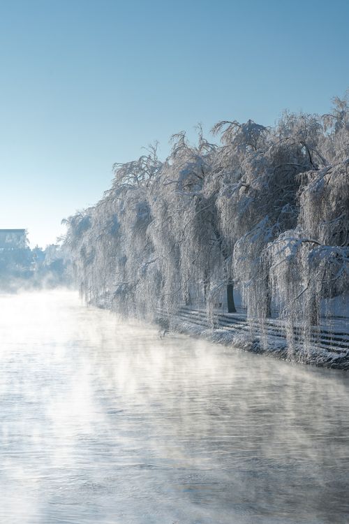 Free Idyllic winter riverbank scene with snow-laden trees and mist rising in the cold air. Stock Photo