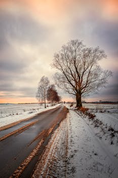 A peaceful rural road surrounded by snow-covered fields and bare trees at sunset in a serene winter landscape.