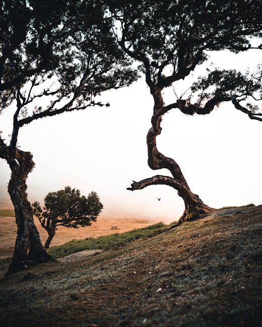 As Melhores Cidades para Empreender em Portugal