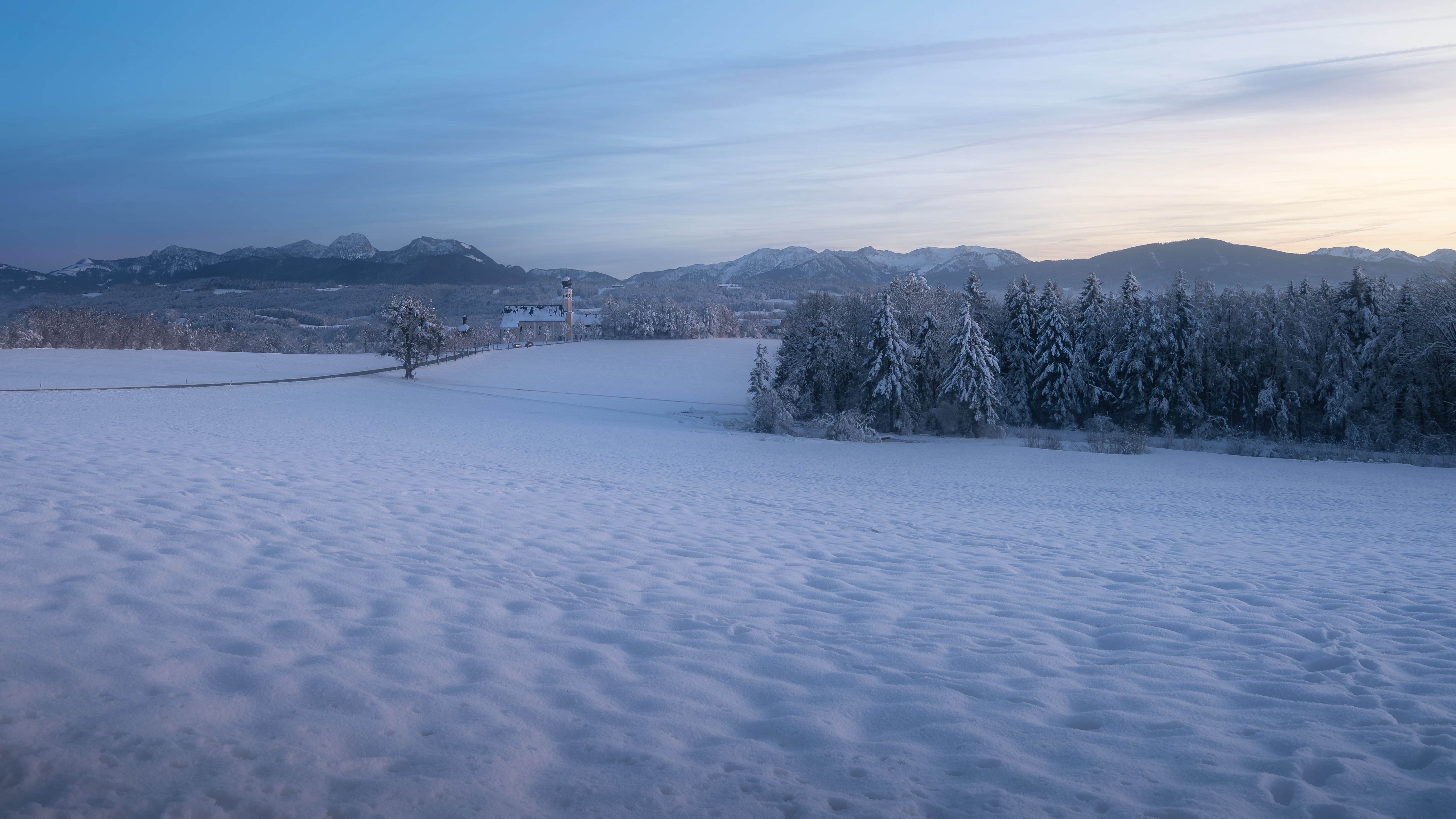 A snowy landscape with trees and snow covered ground · Free Stock Photo