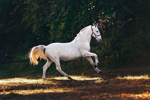 Horse in Autumn Field