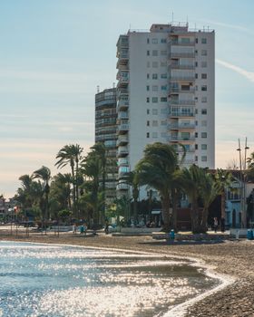 Scenic view of a coastal city with palm trees and high-rise buildings along the serene seashore.