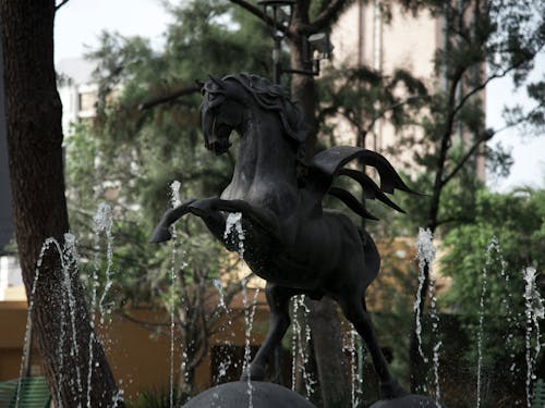 Ảnh lưu trữ miễn phí về bức tượng, cây, con ngựa