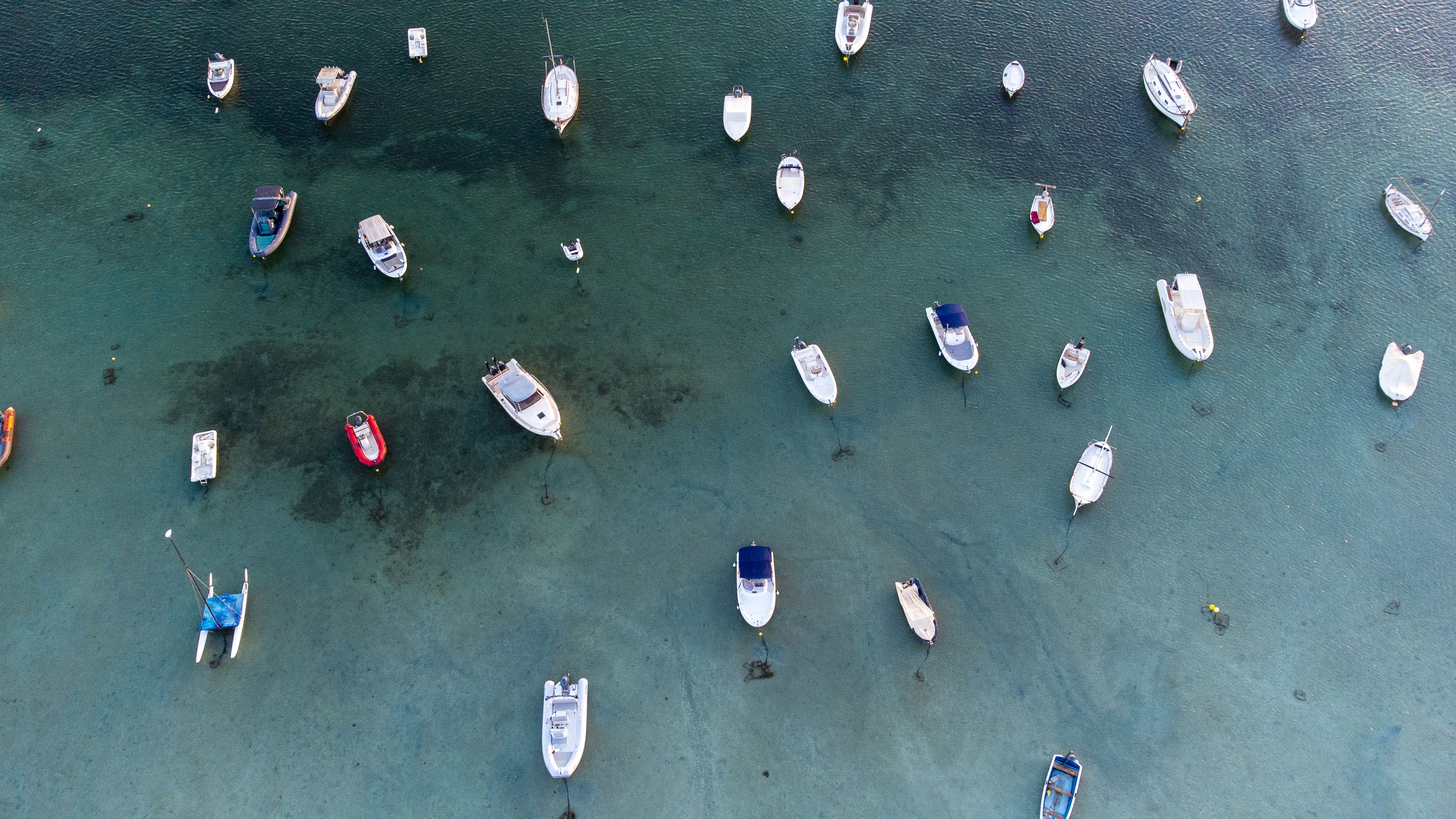 Motorboats on Sea Shore · Free Stock Photo