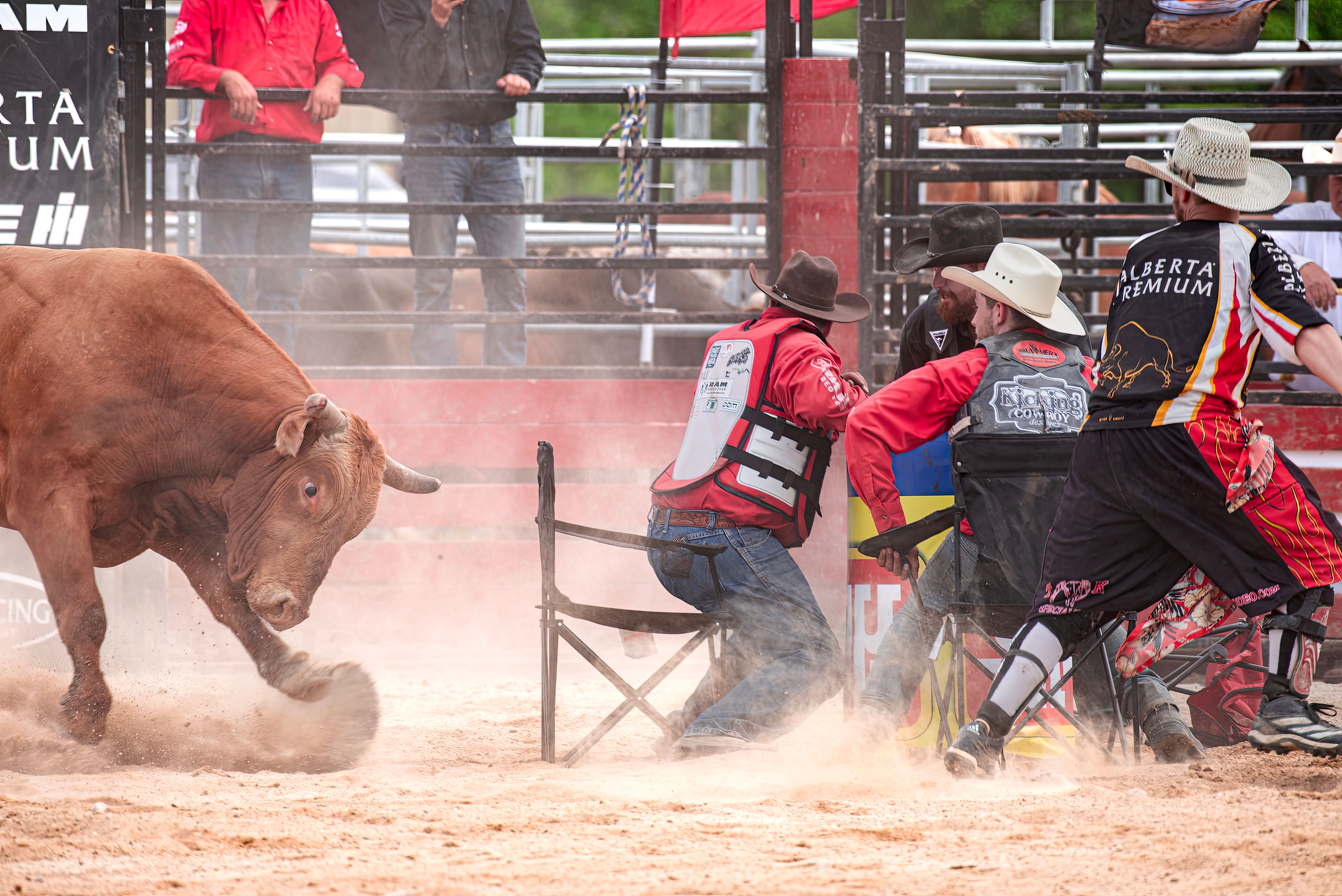 Rodeo Bull Rental North Coast | Premium Sahel Events — Customizing Your Rodeo Bull Rental North Coast for Private Beach Estat
