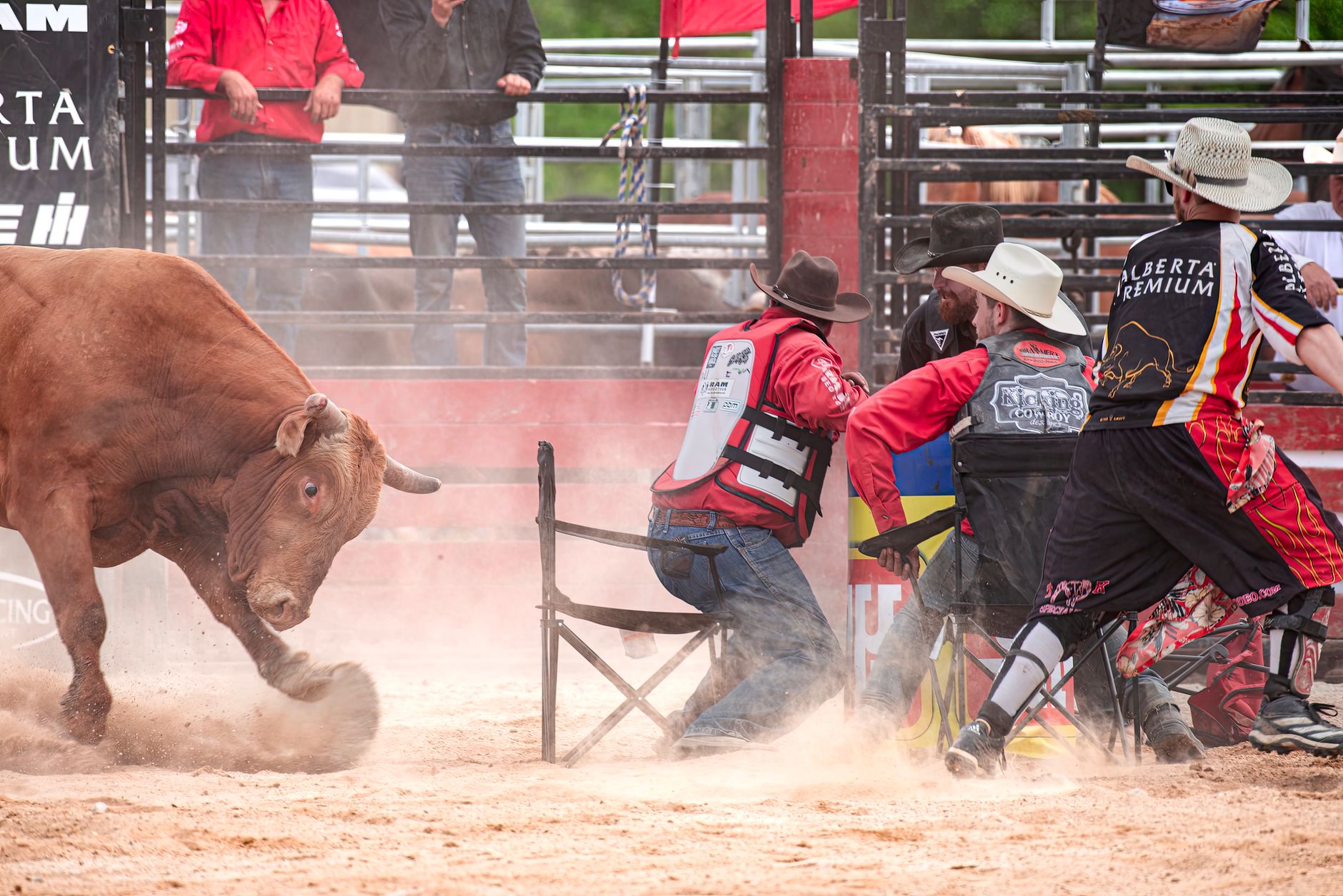 Rodeo Bull Rental North Coast | Premium Sahel Events — Customizing Your Rodeo Bull Rental North Coast for Private Beach Estat
