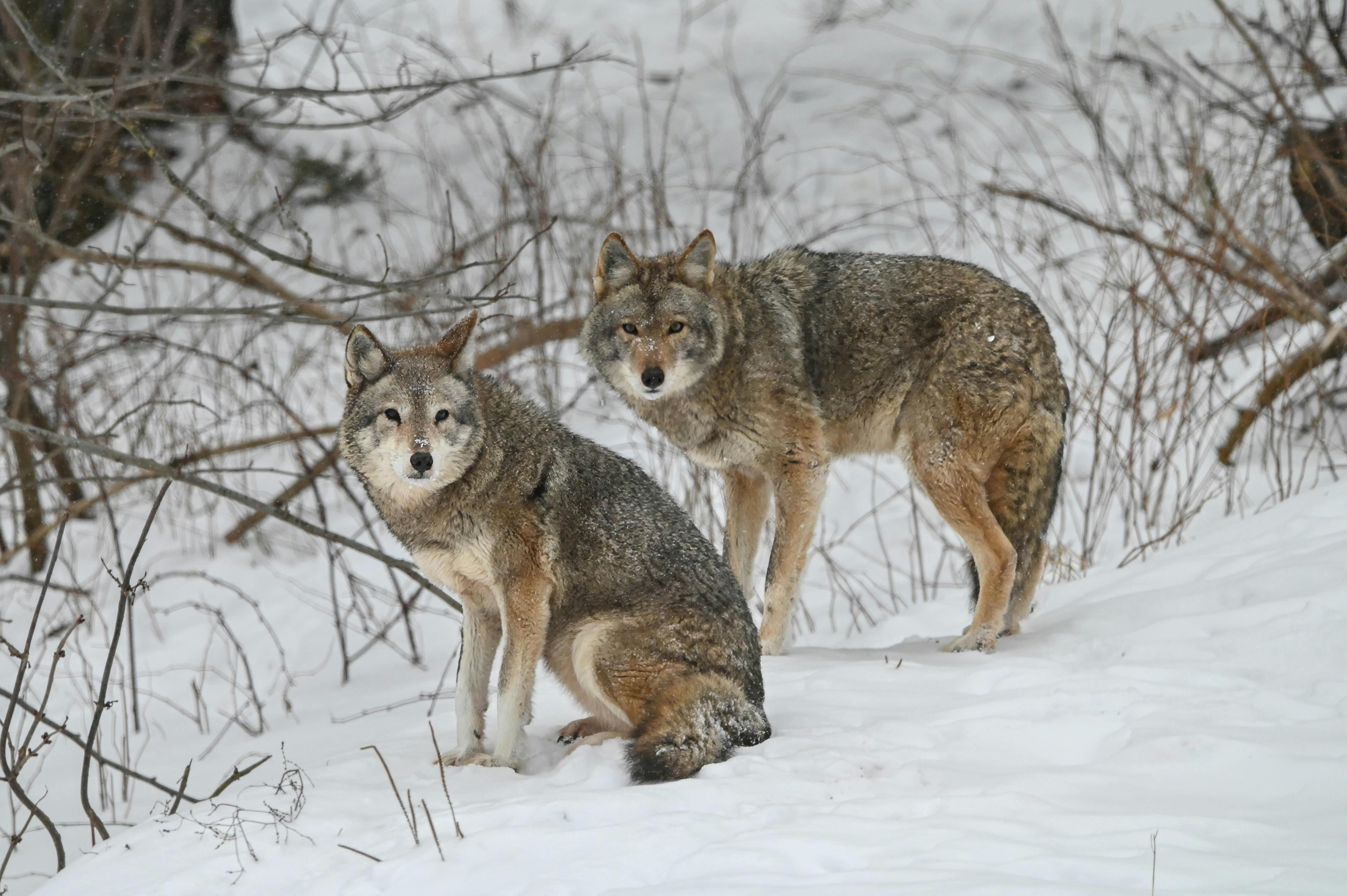All-Canada Show promotes hunting, fishing and outdoor adventure — Photo by Anne-Marie Gionet-Lavoie on Pexels