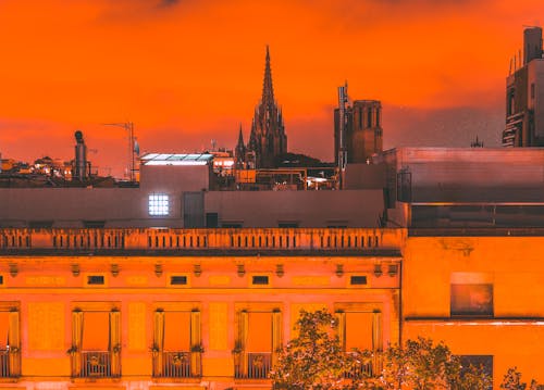 Gratis lagerfoto af Barcelona, la rambla