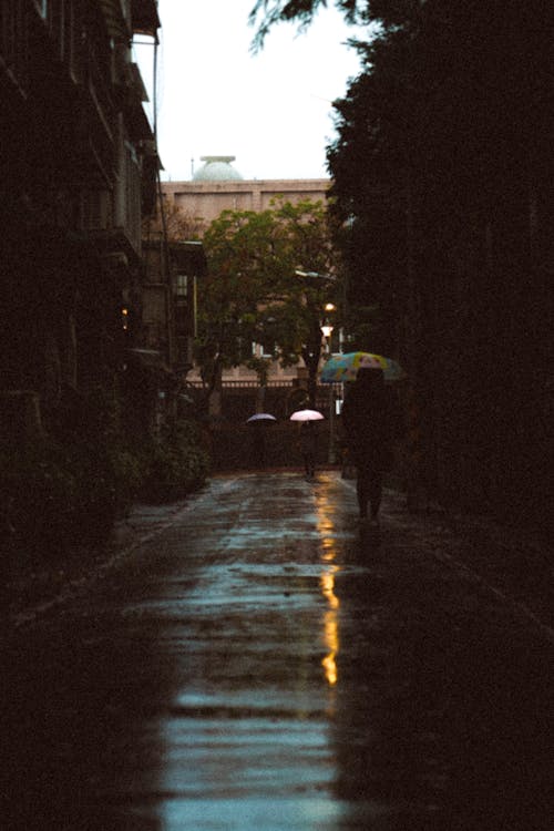 Rain in City