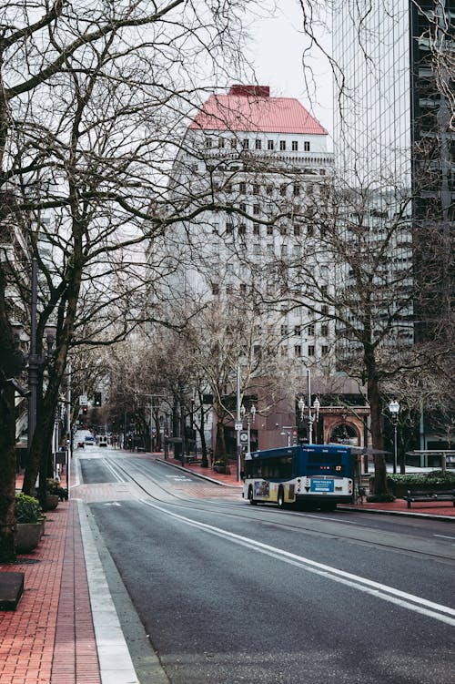 Foto d'estoc gratuïta de arbres, àrid, autobús