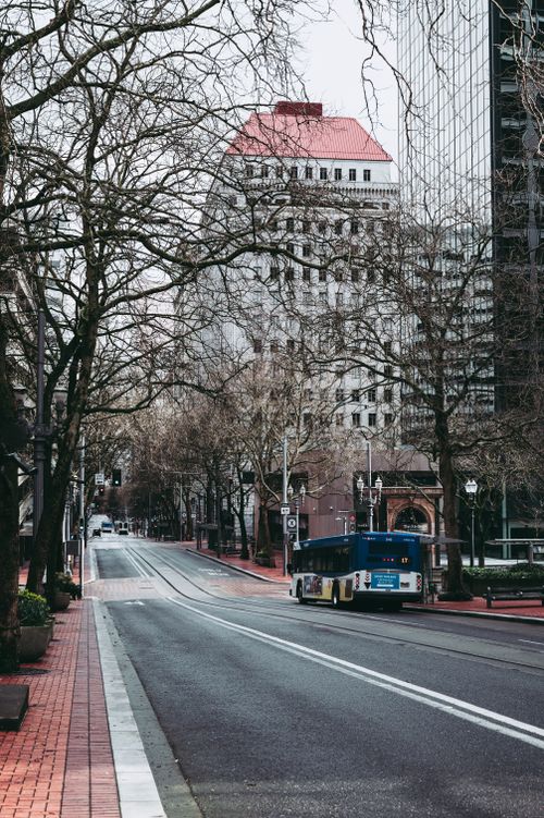 Free A city street with barren winter trees and a public transportation bus in an urban setting. Stock Photo