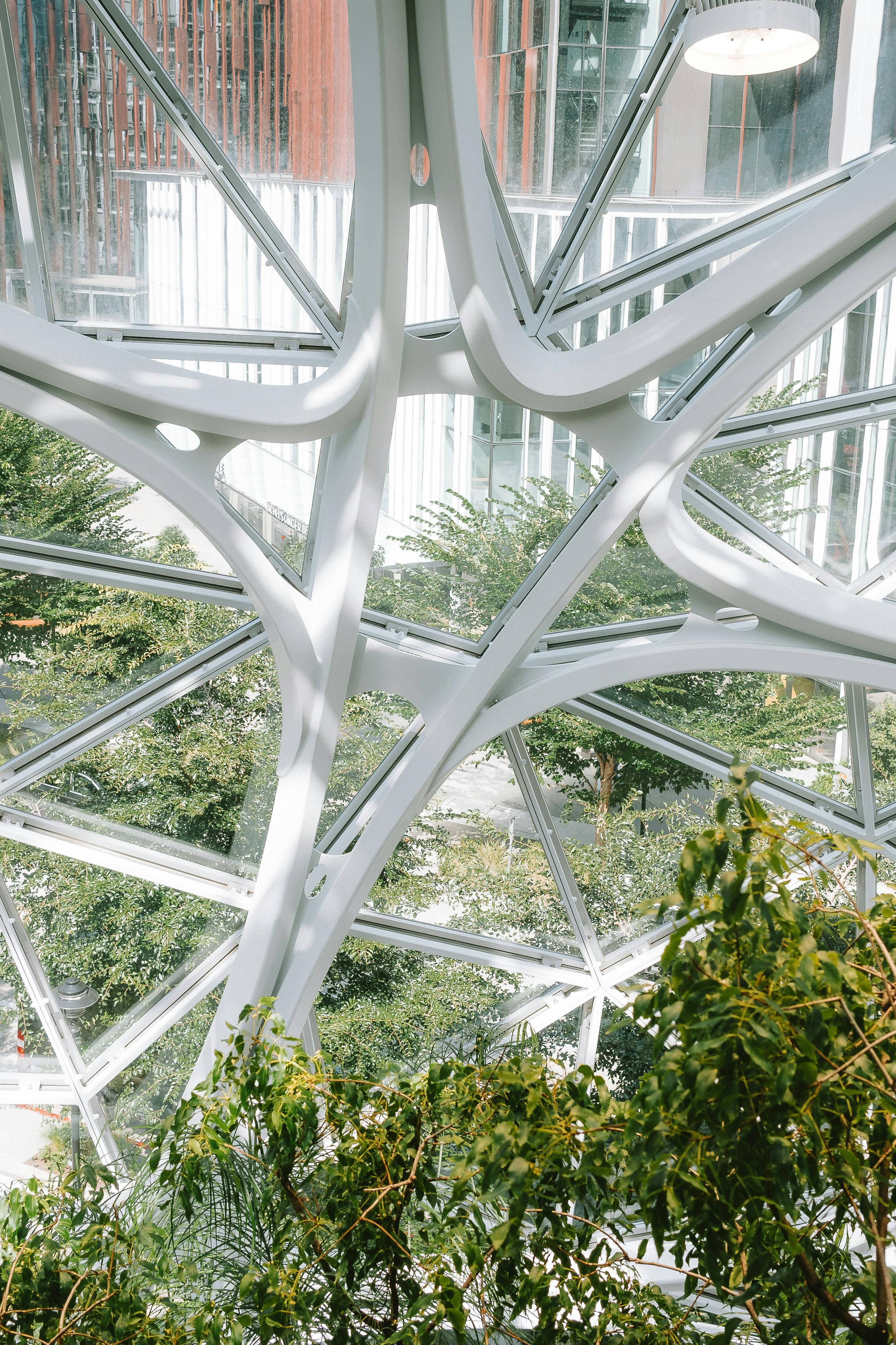 amazon spheres in seattle