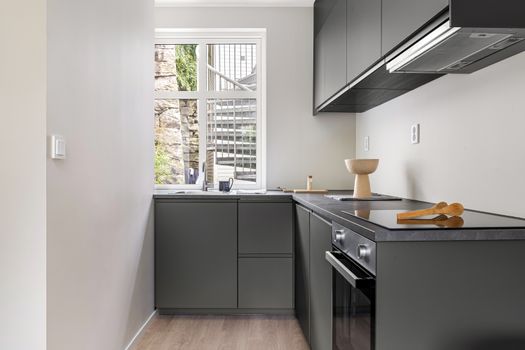 Sleek kitchen featuring black cabinets, minimalist design, and natural light through window.