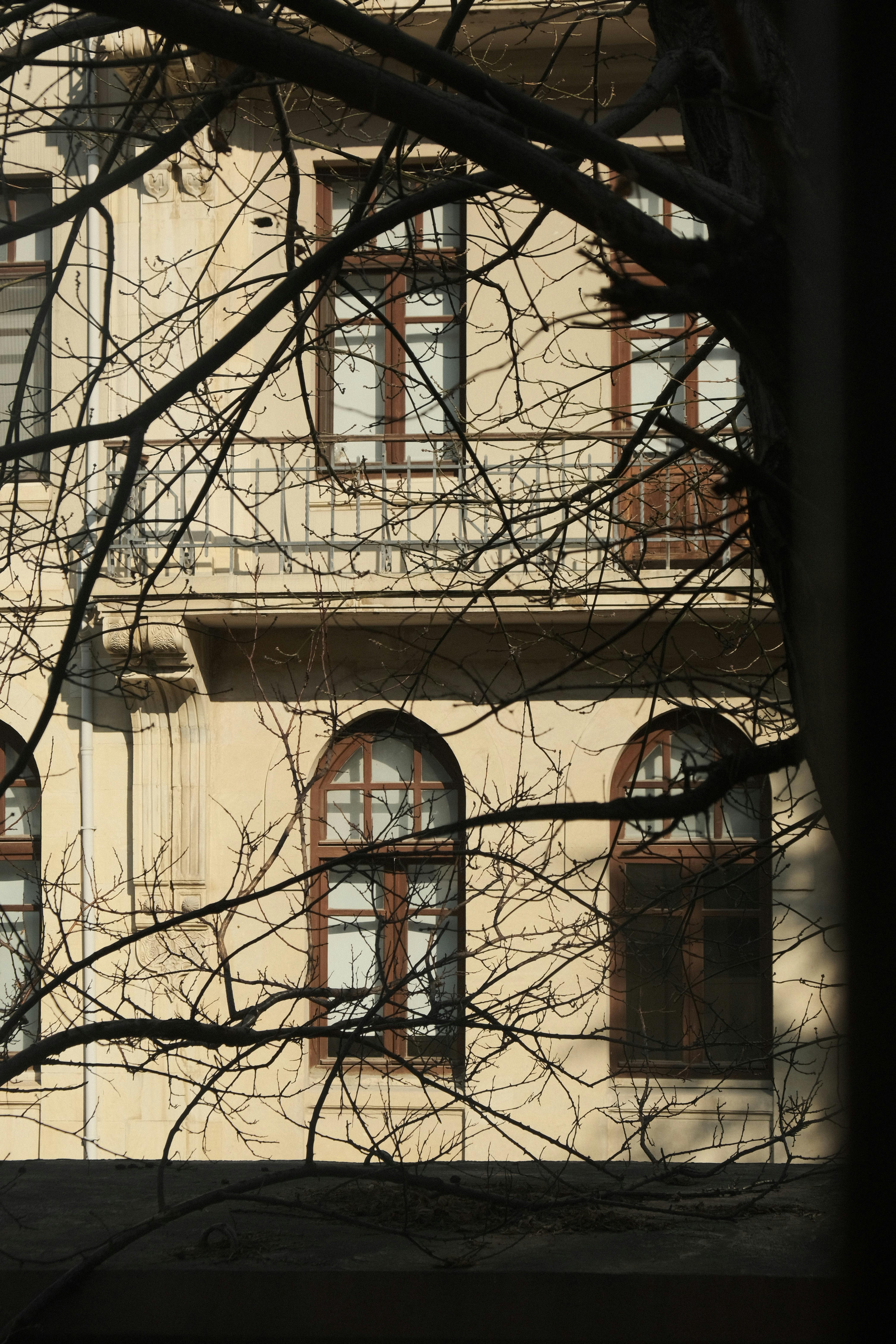 Classic townhouse with arched windows and bare branches casting shadows.