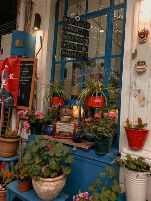 Retro Radio Among Potted Plants in Front of the Restaurant