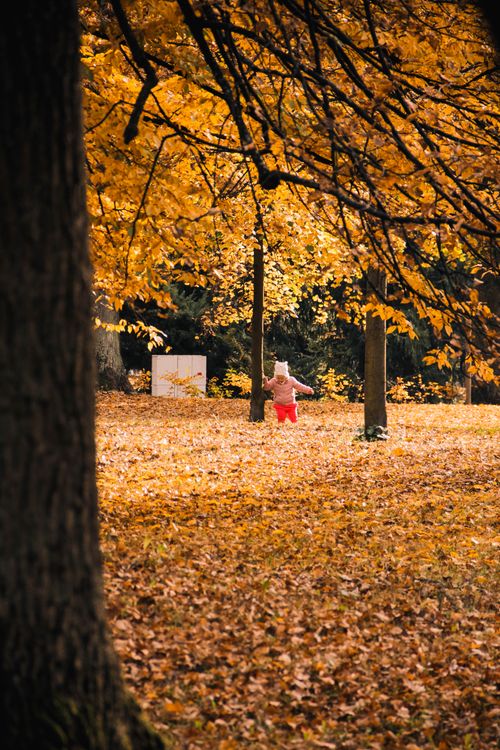 Free Child in park Stock Photo