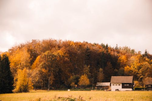 Free Charming rural countryside scene with fall foliage and farmhouse against a forest backdrop. Stock Photo