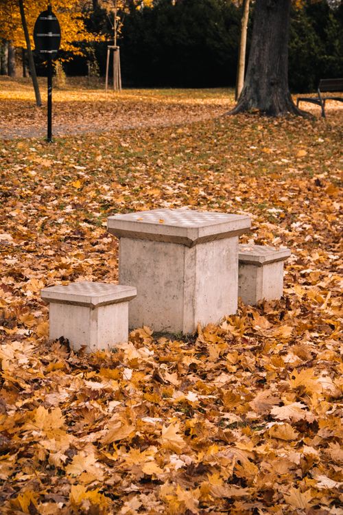 Free Concrete chess table surrounded by orange autumn leaves in a peaceful park setting. Stock Photo