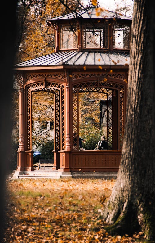 Kostenloses Stock Foto zu entspannung, herbst, hölzern