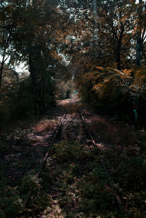 Fotobanka s bezplatnými fotkami na tému urbex