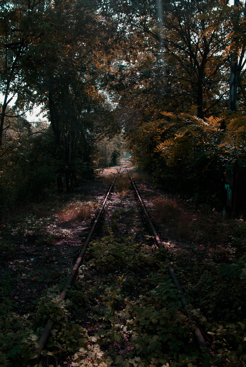 Free Old train tracks Stock Photo