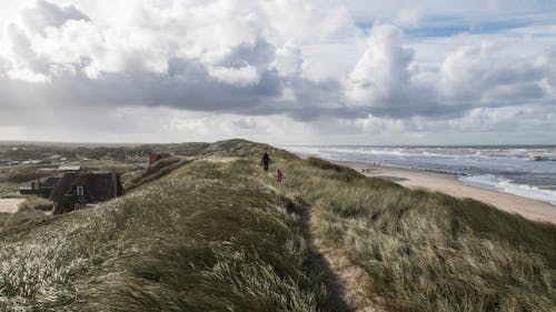 People Walking on the Grass on a Beach under a Cloudy Sky 