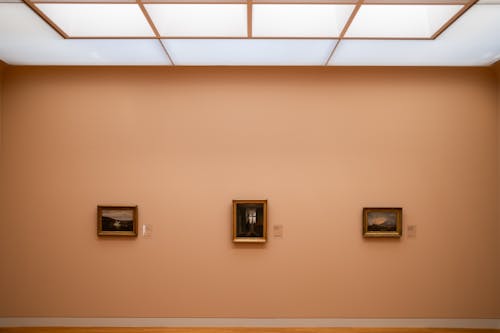Paintings in the Art Gallery
