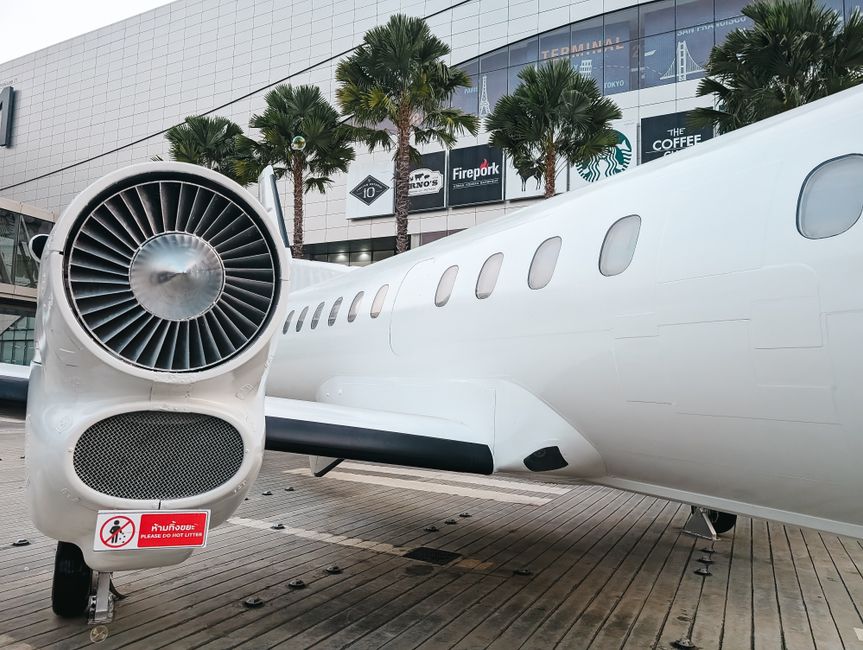 Viral Video Shows Couple Selecting Private Aircraft as Anniversary Gift
