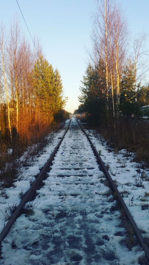 Free Winter scene on snow-covered railway tracks through a forest in Finland. Stock Photo
