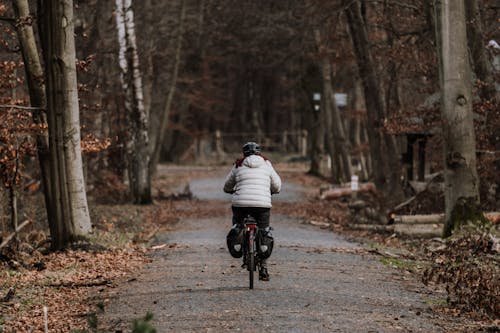 ağaçlar, bisiklet sürmek, bisikletçi içeren Ücretsiz stok fotoğraf