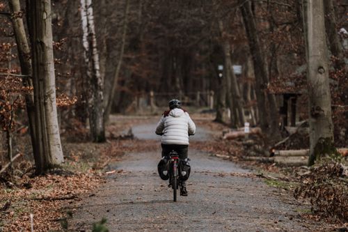 Free A woman cycling through a tranquil autumn forest pathway surrounded by trees. Stock Photo