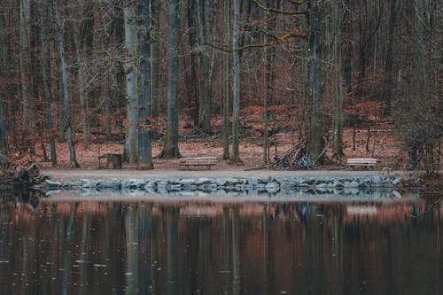 Benches along Lake n Autumn