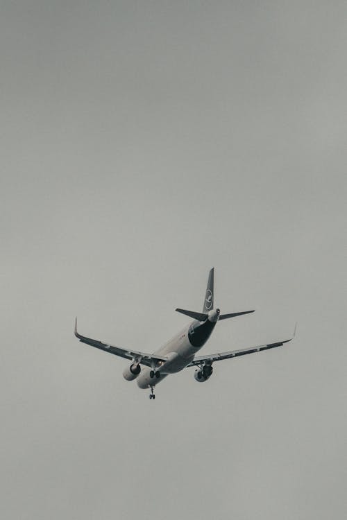 Airplane in Gray Sky