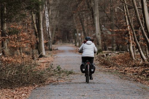 Free A woman rides a bicycle on a tranquil forest path during the fall season, surrounded by bare trees. Stock Photo
