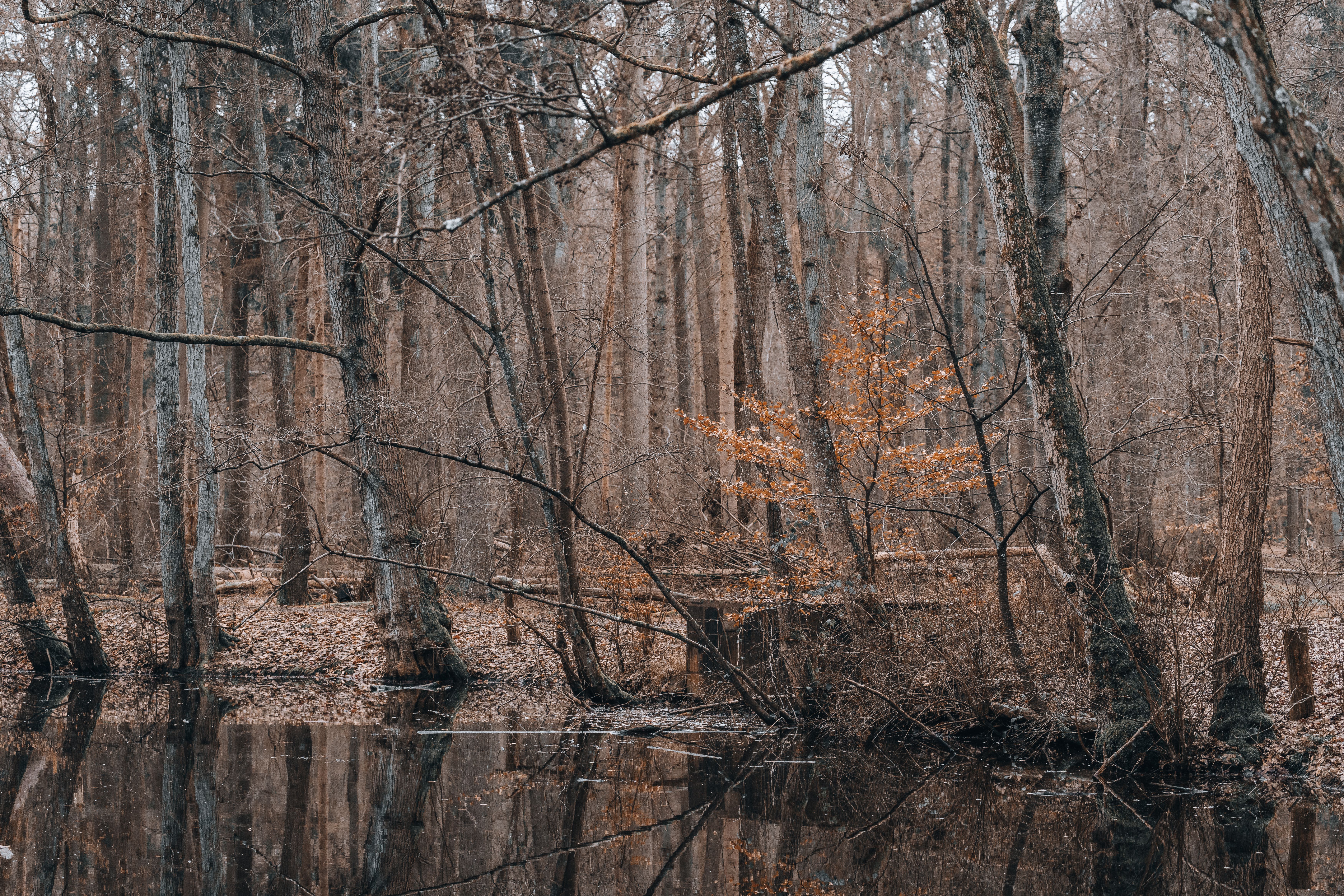 Weston Lake Loop Trail