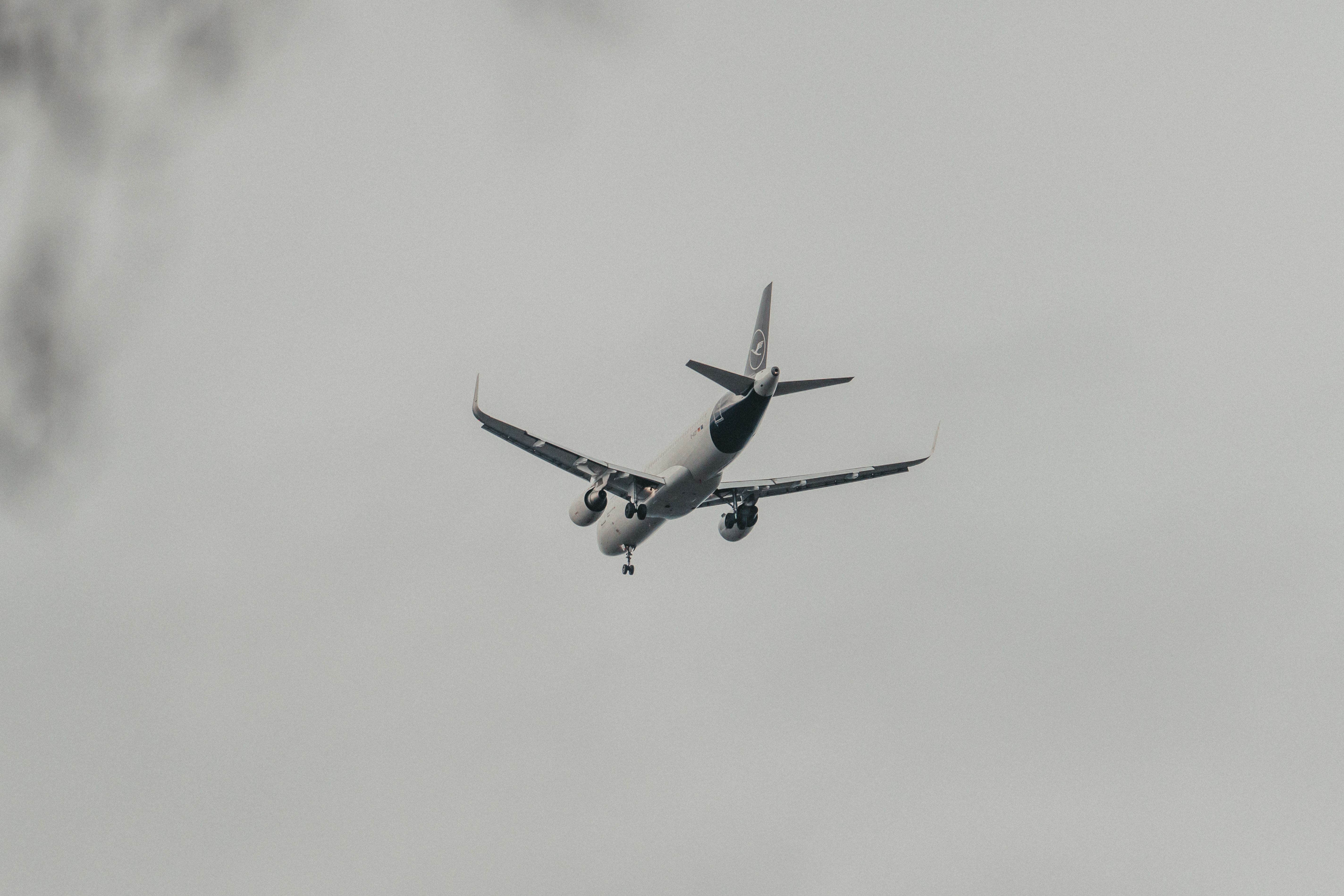 AI in Travel and Logistics: The Gap Between Pilots and Scale — Photo by Masood Aslami on Pexels
