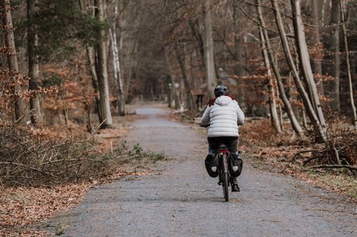 Free A woman in a warm jacket cycles through a serene forest trail during autumn. Stock Photo