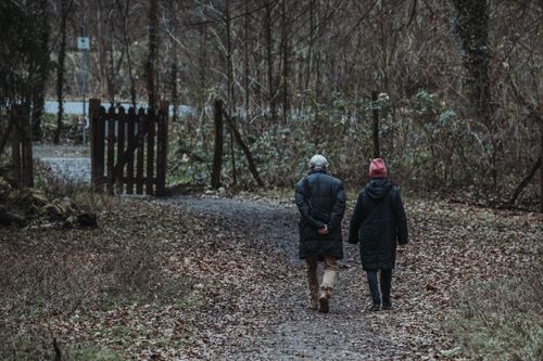 Free An elderly couple walks hand in hand on a leaf-covered path in a serene autumn forest setting. Stock Photo