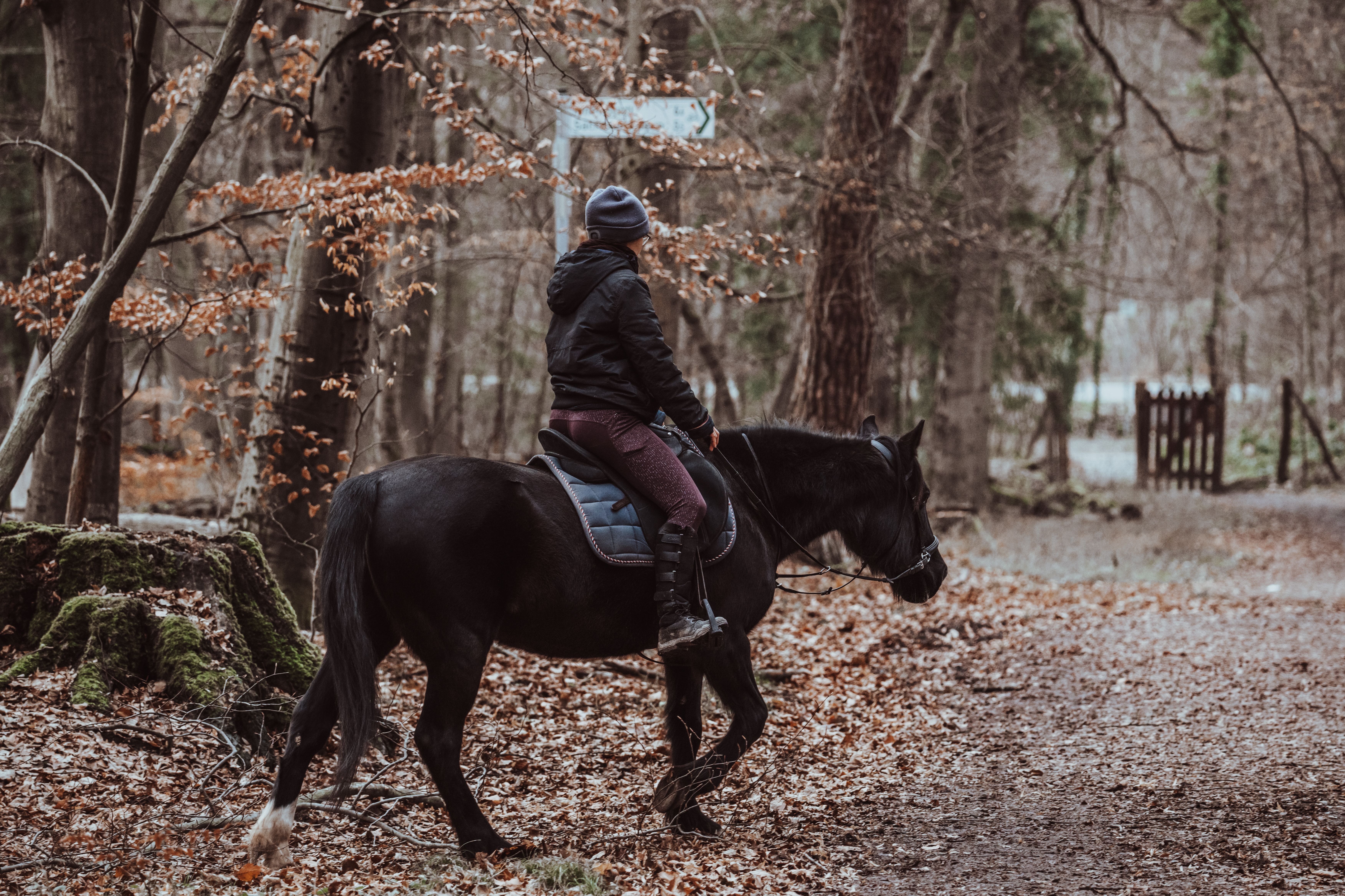 Ride out to Amelisweerd woods