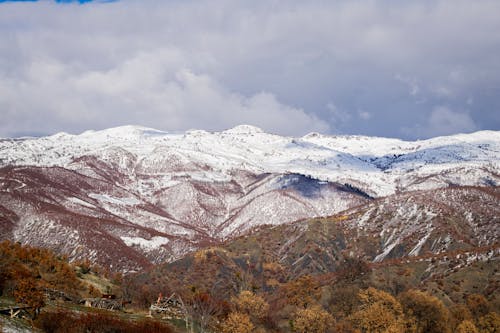 Winter’s First Touch: Snow Blankets North Carolina Peaks