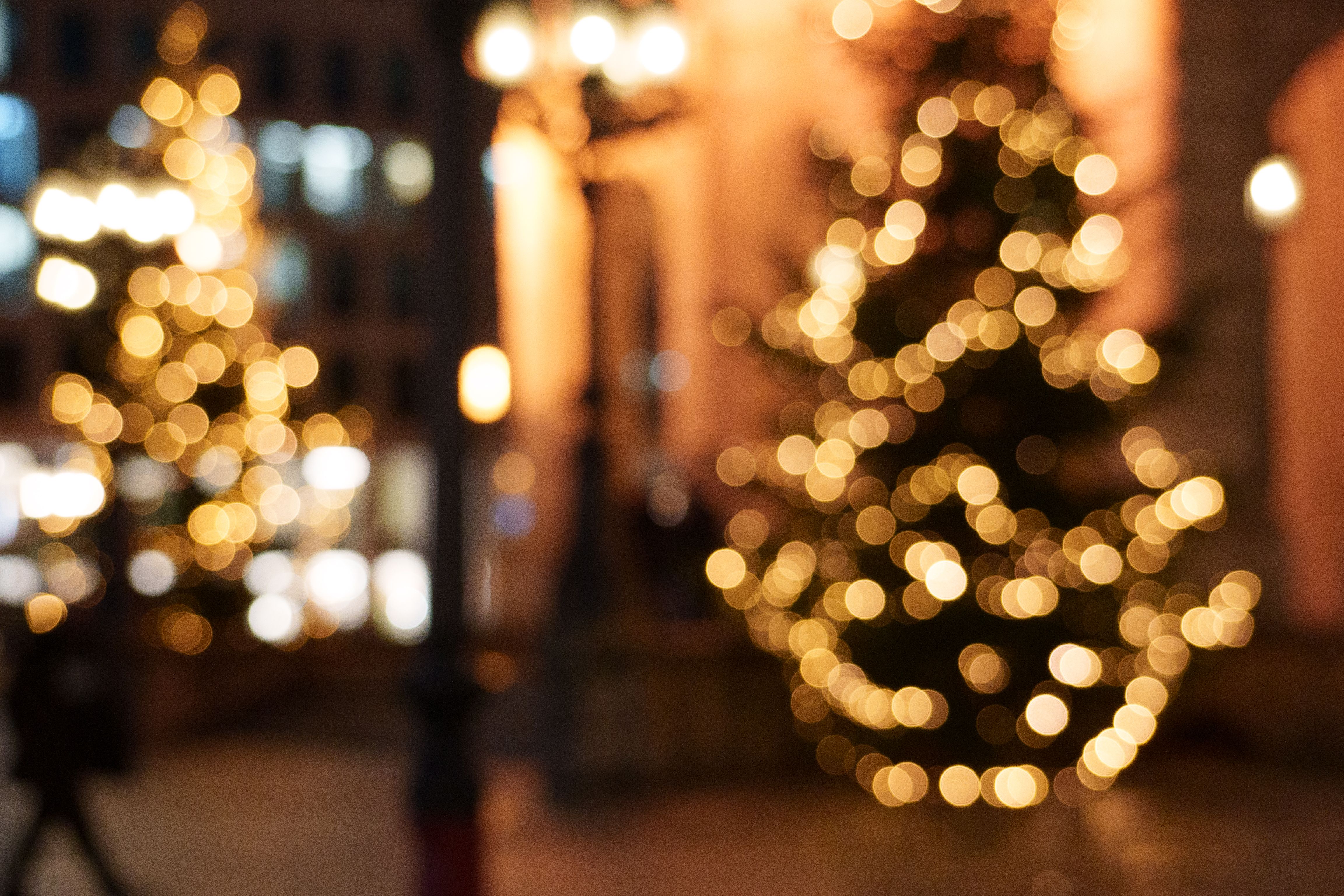 Foto de stock gratuita sobre actitud festiva, adornos, adornos de ...
