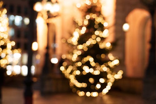 Kostnadsfri bild av firande, julgranar, oskärpa