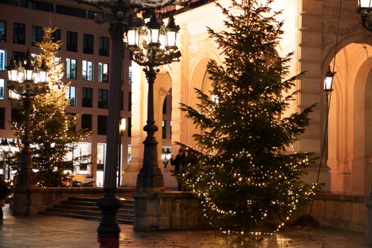 Festive Christmas trees with lights in a city square at night. Urban ambiance with classic street lamps.