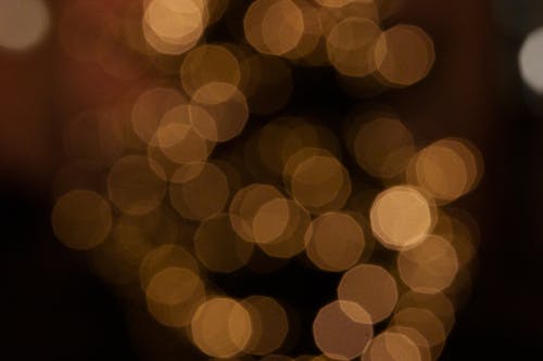 คลังภาพถ่ายฟรี ของ กลางคืน, ต้นคริสต์มาส, พร่ามัว