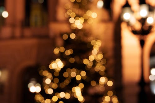 คลังภาพถ่ายฟรี ของ กลางคืน, จุด, ต้นคริสต์มาส