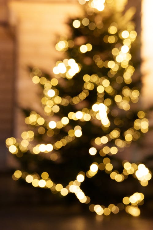 Lights on Blurred Christmas Tree