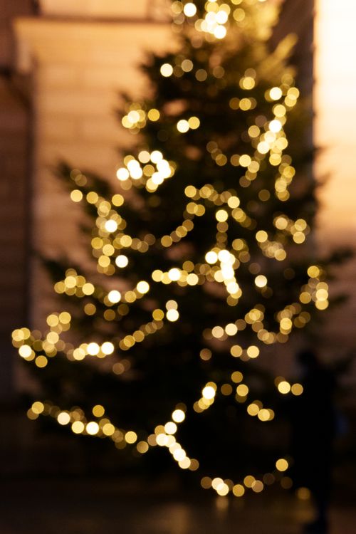 Free Blurred view of a Christmas tree adorned with glowing lights in a nighttime setting. Stock Photo