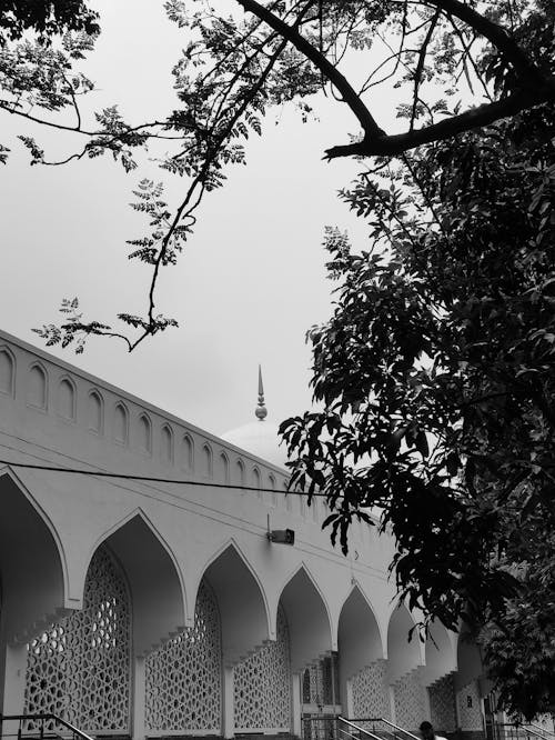 Wall of Mosque in Black and White